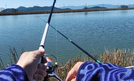 ホンモロコ釣り終盤